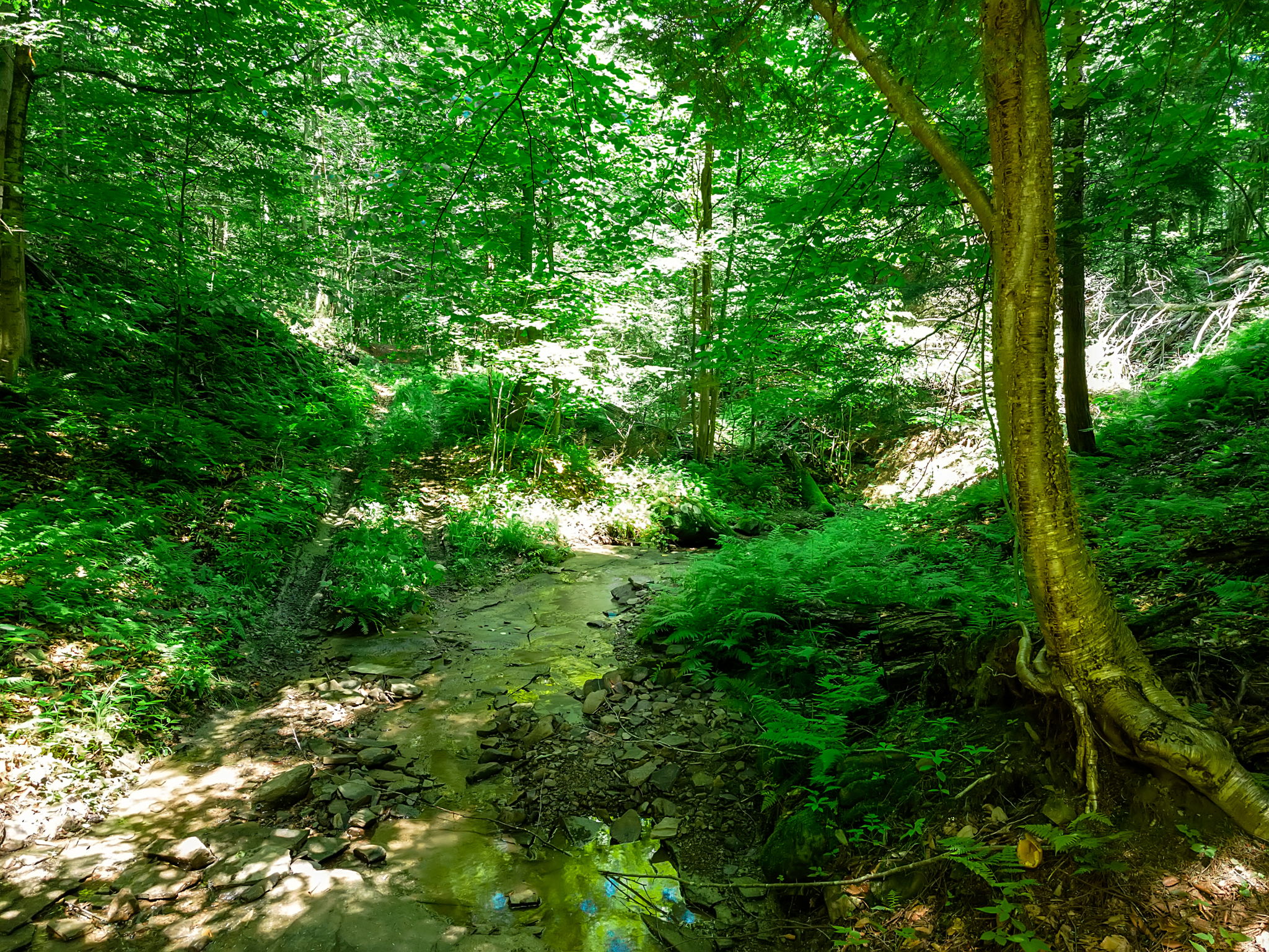  Photo 4