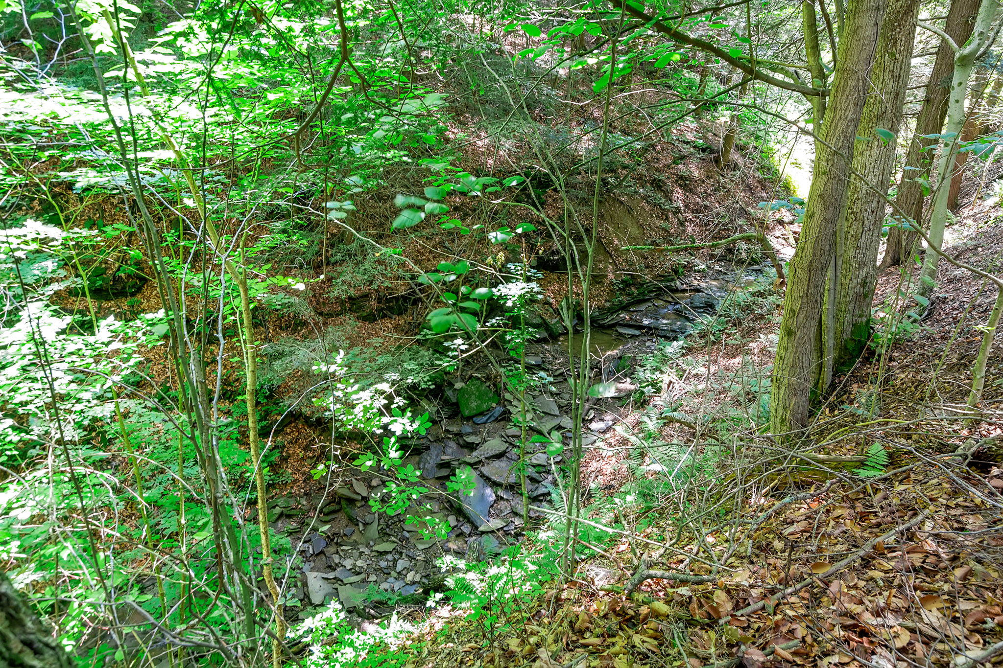  Photo 41