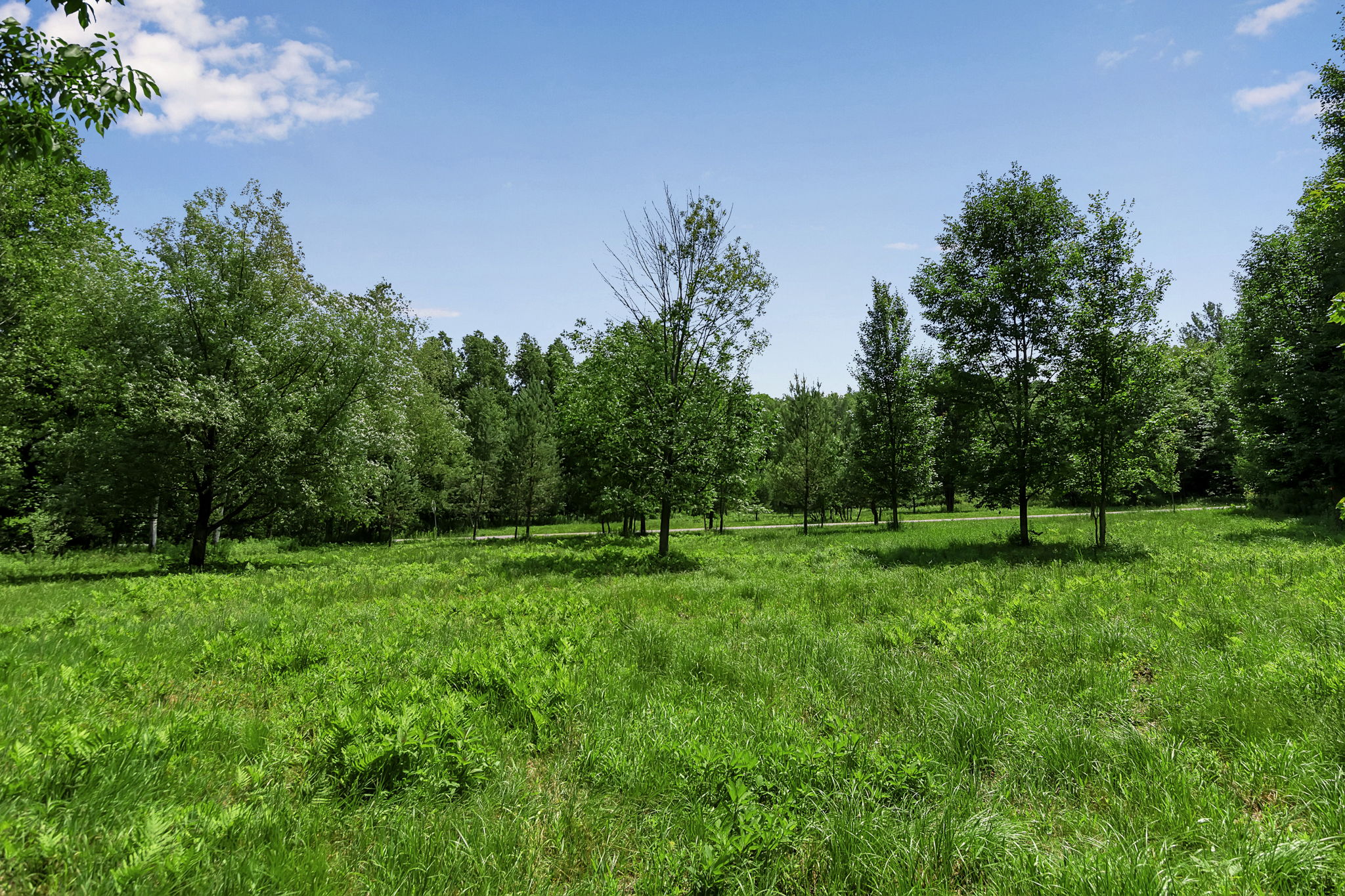  Photo 50