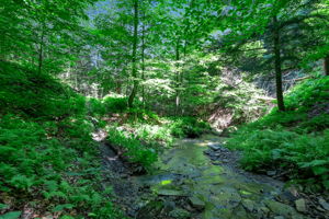  Photo 38