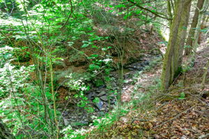  Photo 40