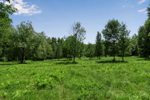  Photo 49