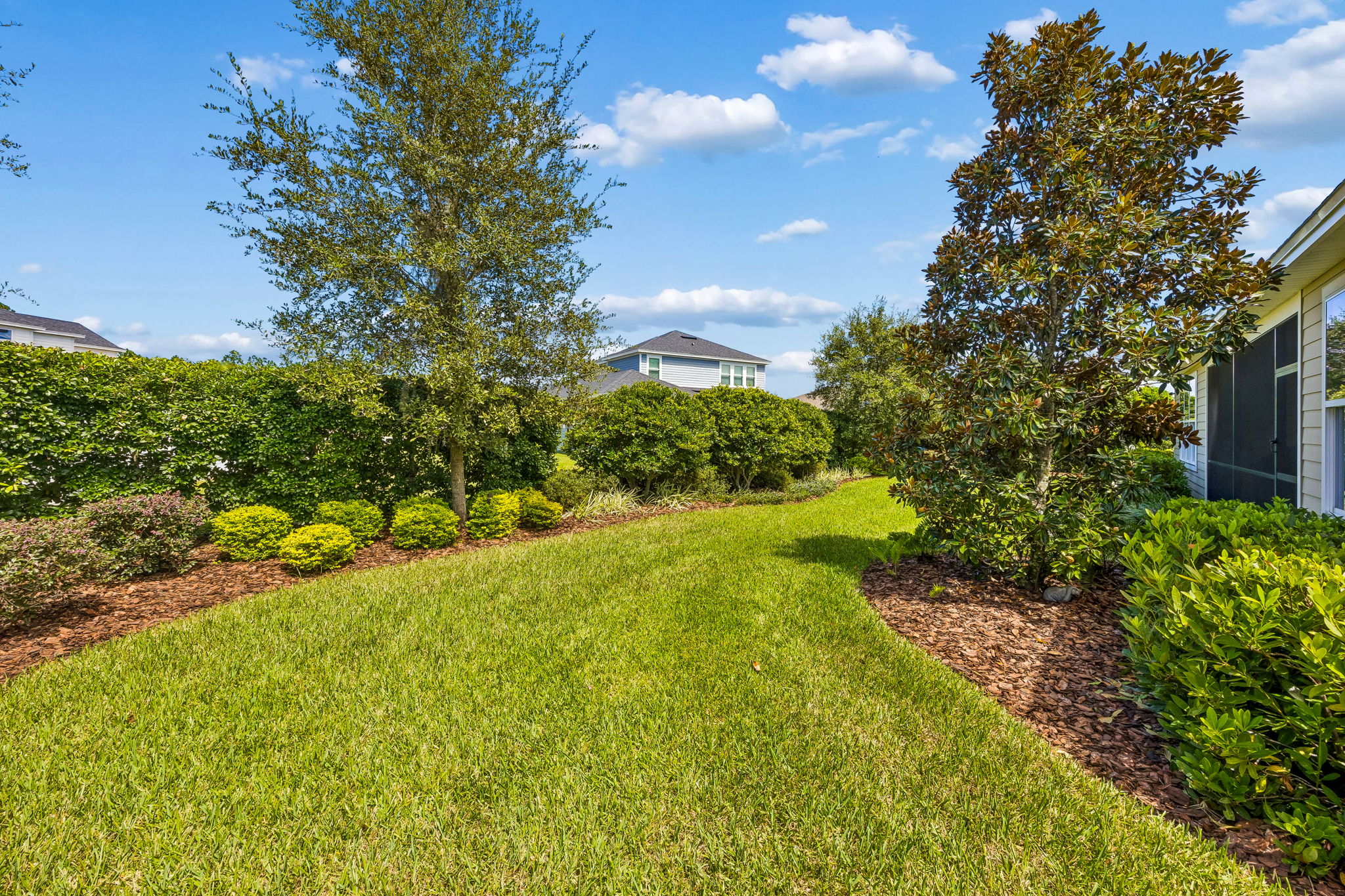 Backyard