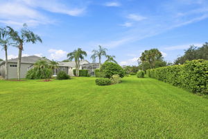 Backyard3