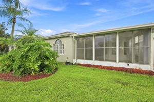 Backyard5