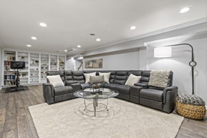 Recreation Room with Built-ins