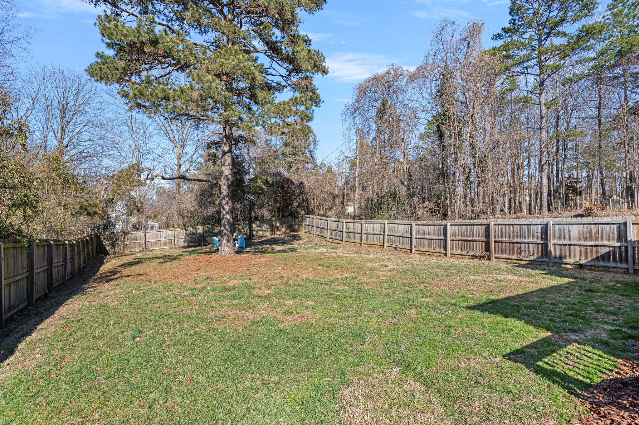 Full Backyard