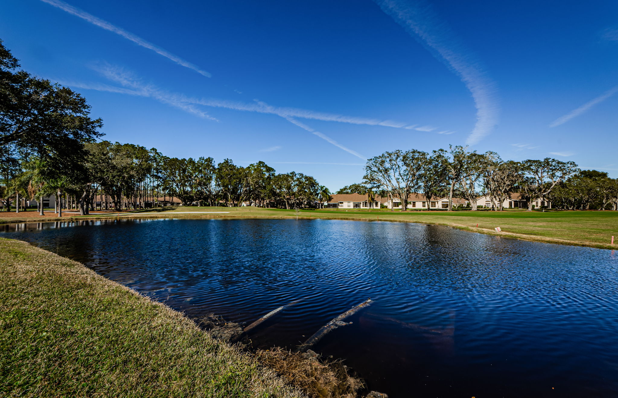 Pond View 1