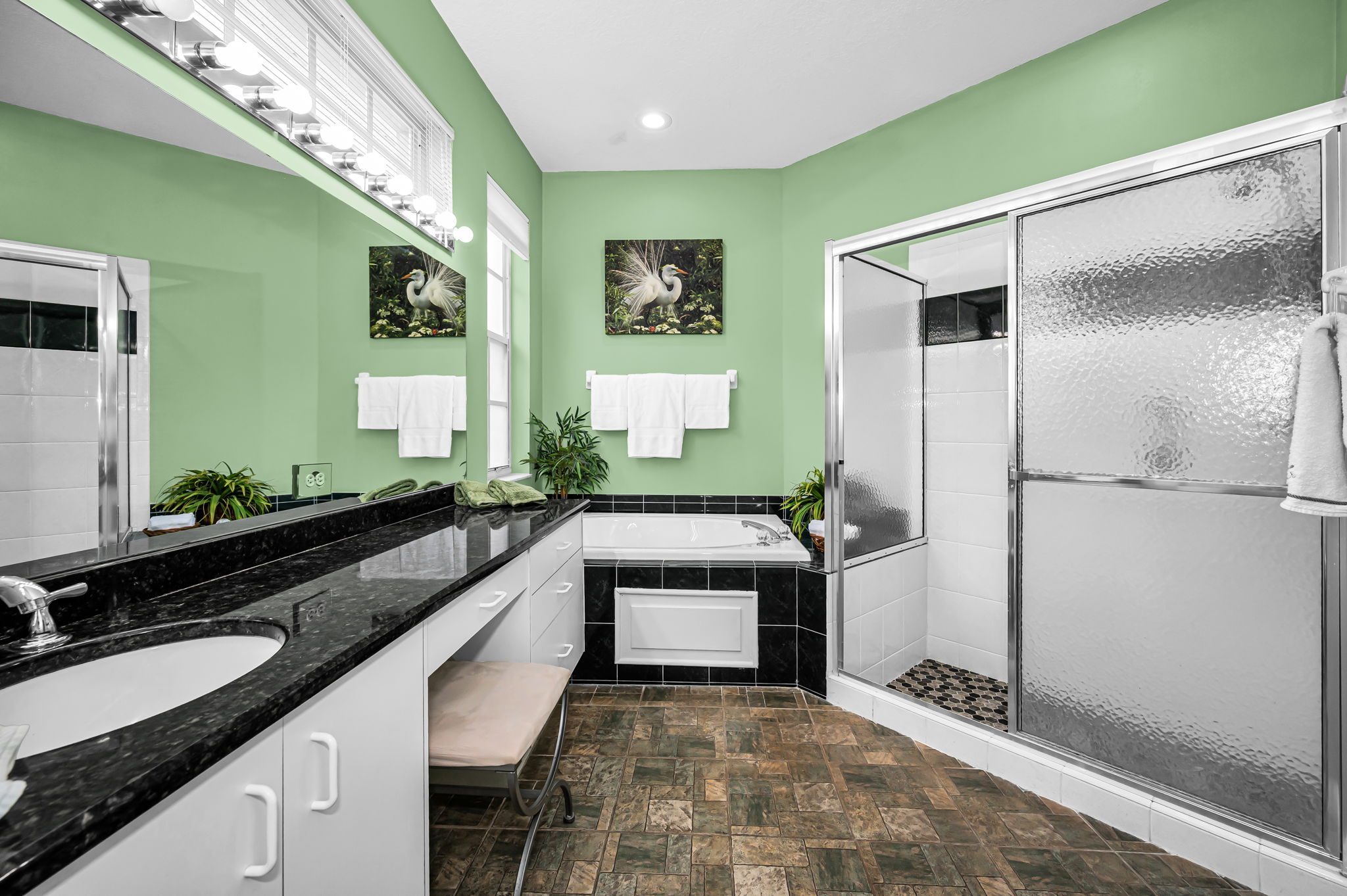 Primary Bathroom1a