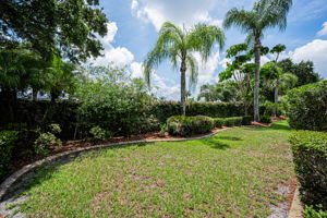 Backyard1