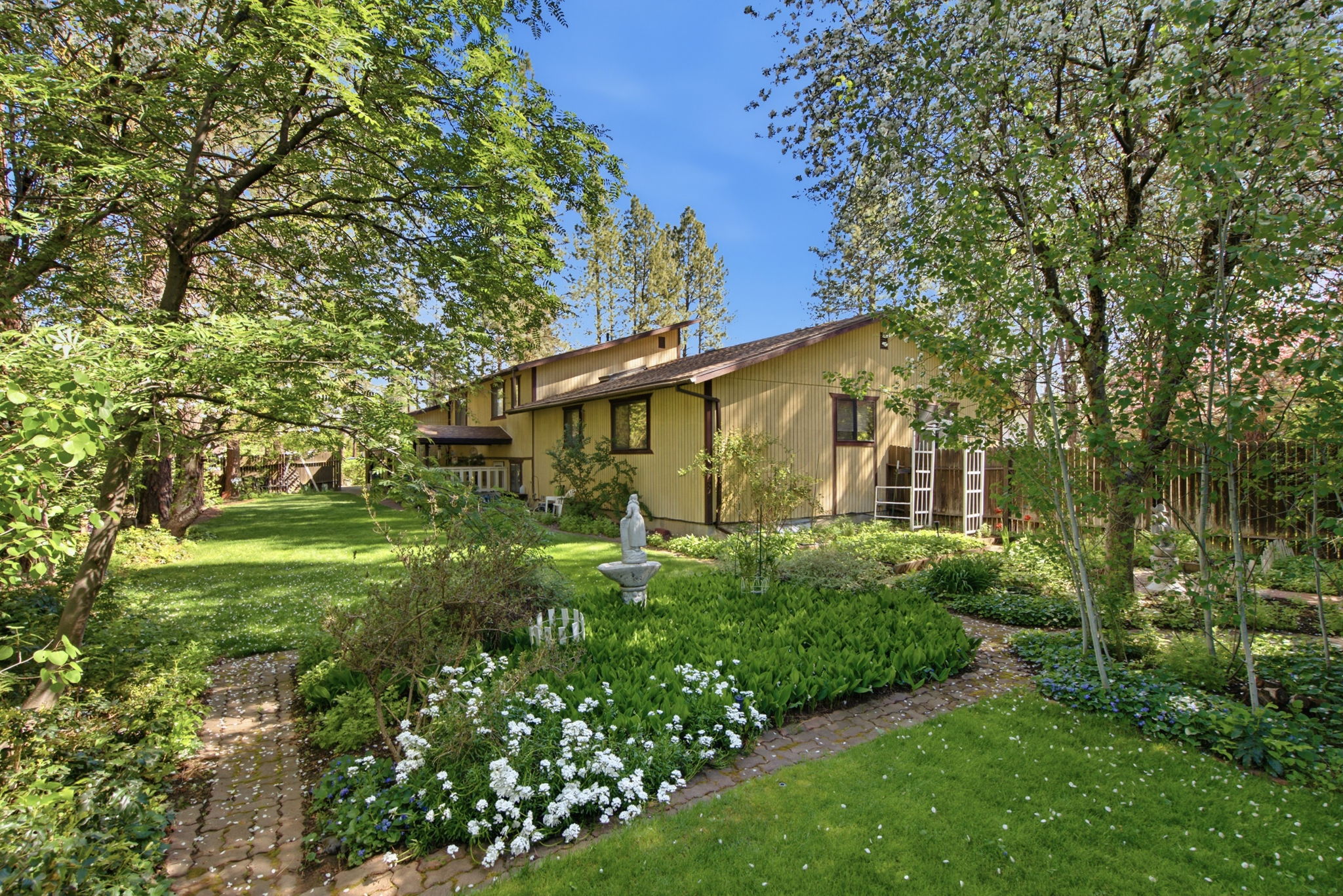  Photo 54