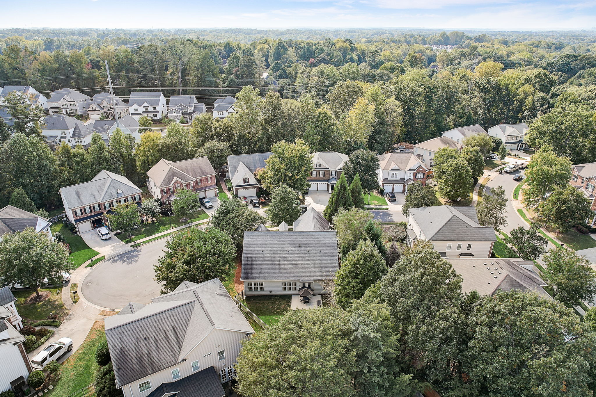 Hanlin Ct-036