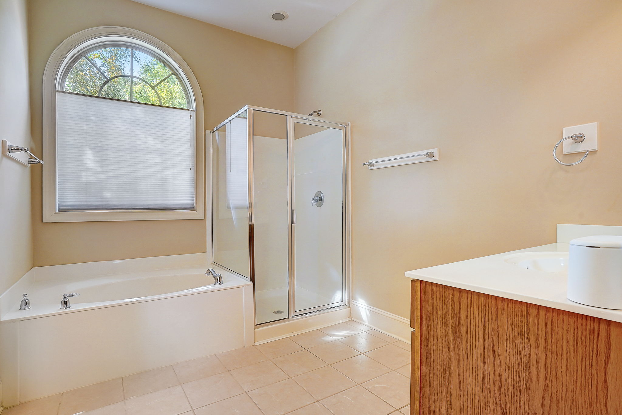 Hanlin Ct-015