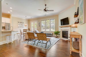Hanlin Ct-008