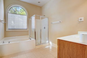 Hanlin Ct-015