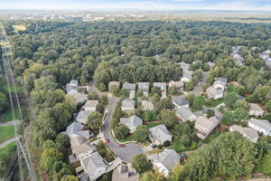 Hanlin Ct-043