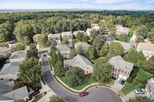 Hanlin Ct-033