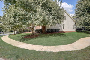 Hanlin Ct-001