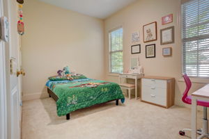 Hanlin Ct-017