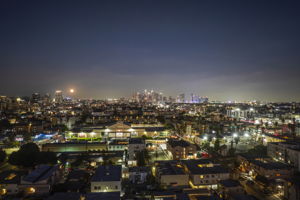  Photo 43