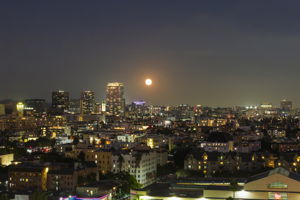  Photo 44