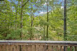 Local_Flavor_films-9320 Chestatee Ct, Gainesville, GA 30506-186.jpg