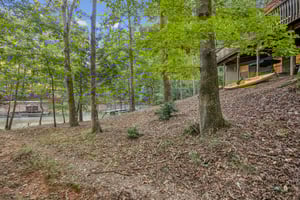 Local_Flavor_films-9320 Chestatee Ct, Gainesville, GA 30506-291.jpg