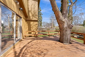 9323 Olcott_006