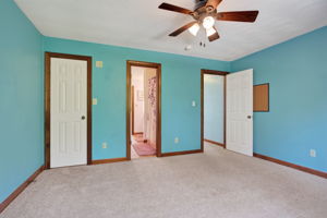  Photo 47