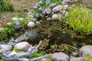  Photo 41