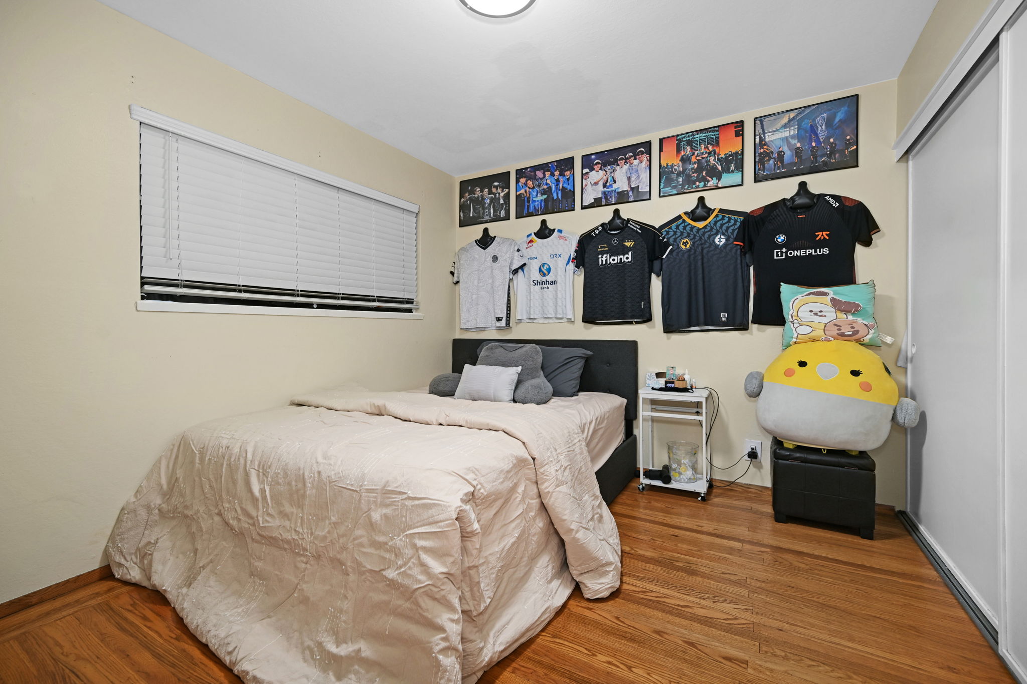  Photo 12