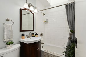 Skylight in Renovated Hall Bath