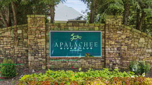 Local_Flavor_Films-933_White_Aster_Ct_Dacula_GA-371.jpg