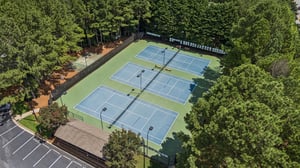 Local_Flavor_Films-933_White_Aster_Ct_Dacula_GA-386.jpg