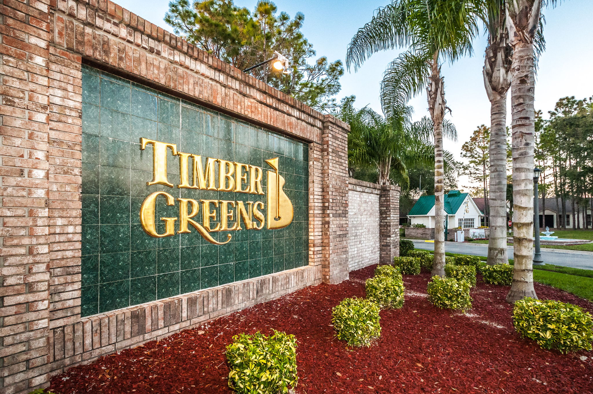 Timber Greens28