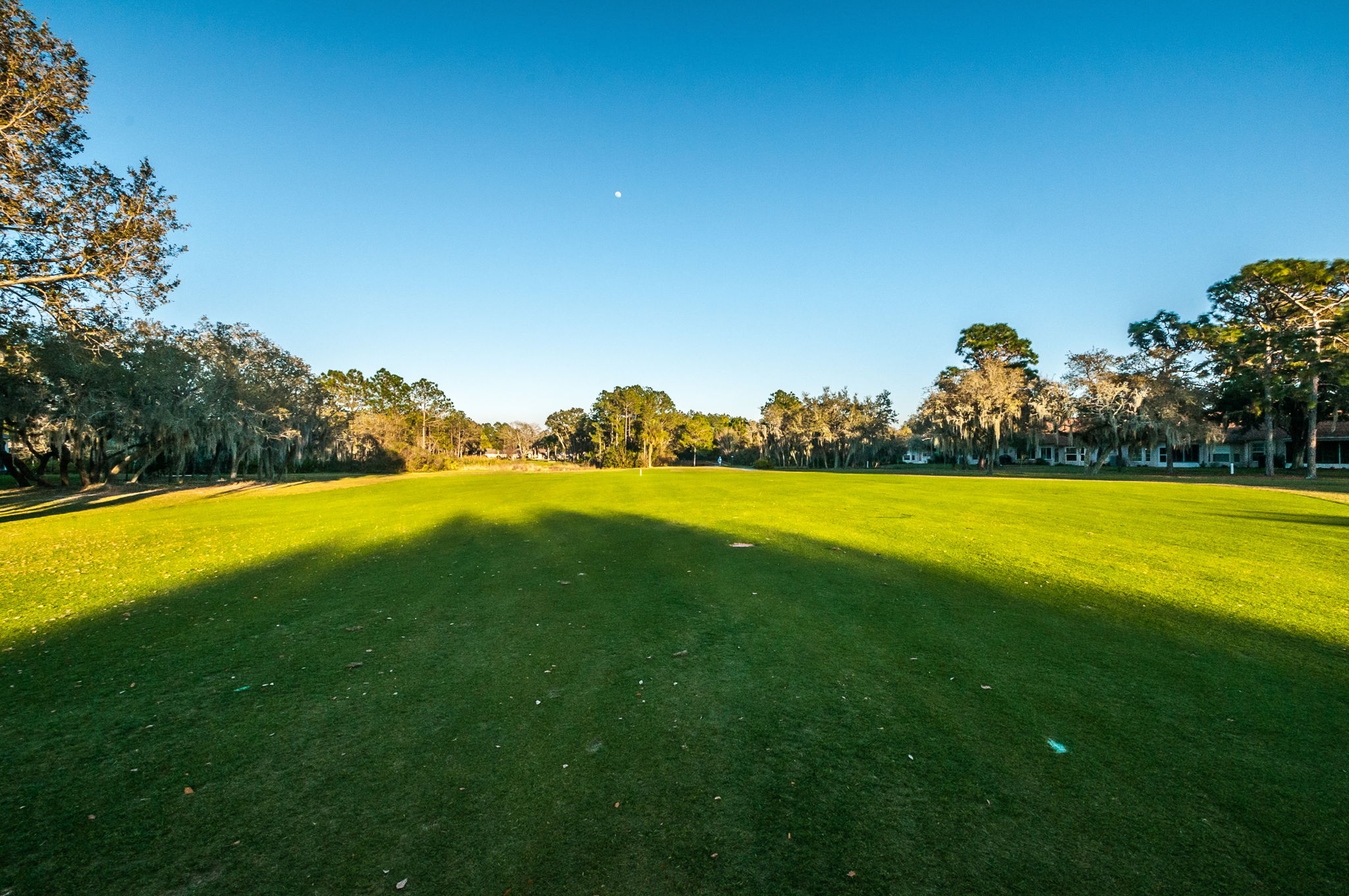 Timber Greens22
