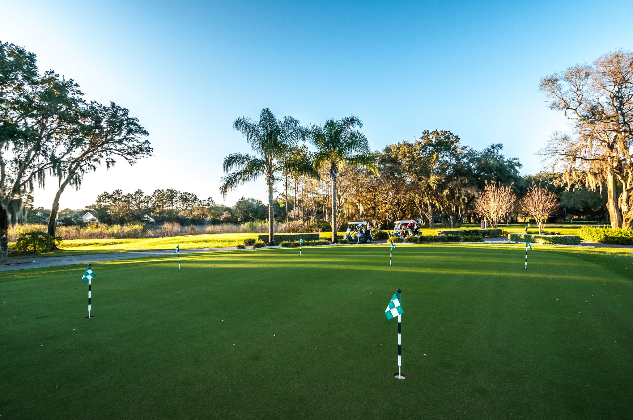 Timber Greens24