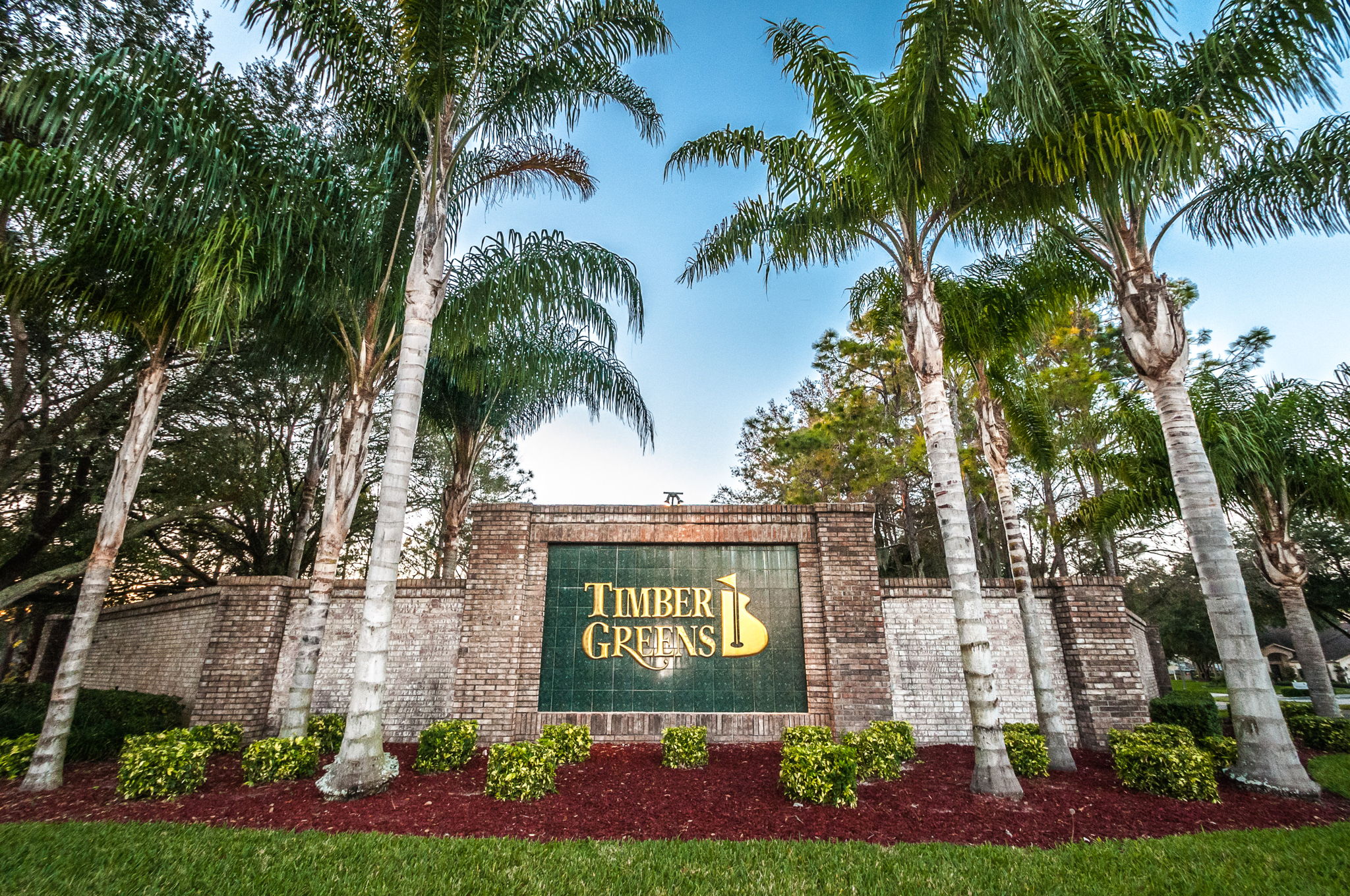 Timber Greens1