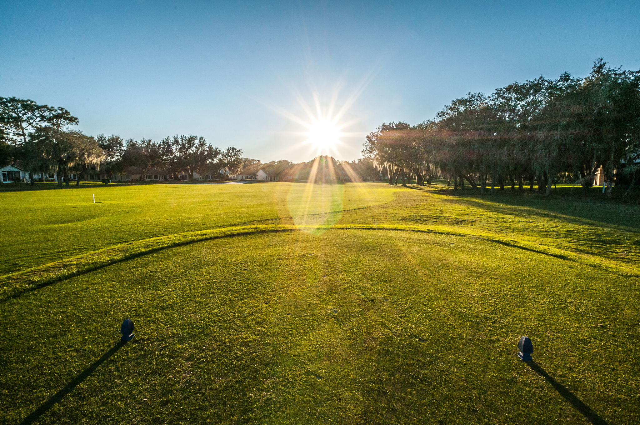 Timber Greens26