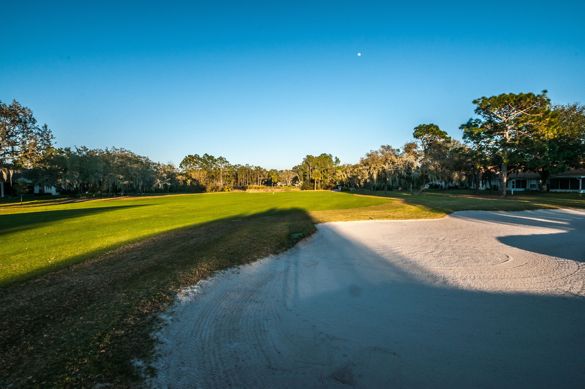 Timber Greens23
