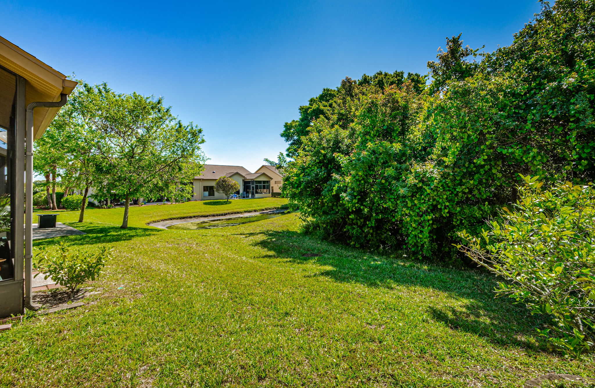 Backyard 1A