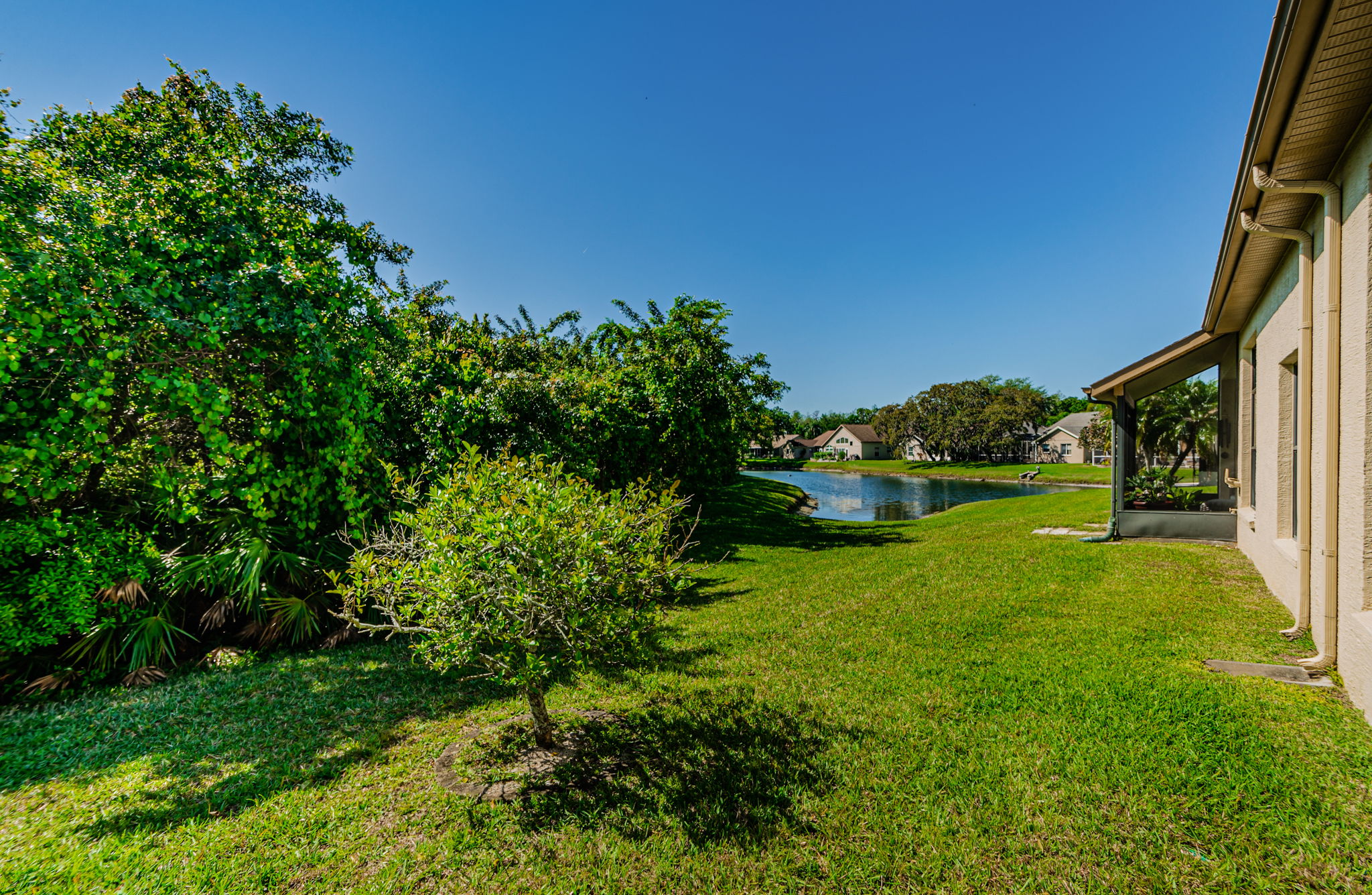 Backyard 1B