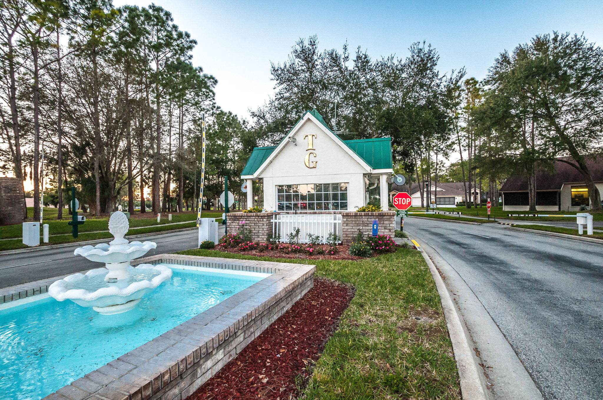 Timber Greens27