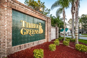 Timber Greens28