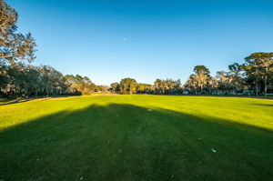 Timber Greens22