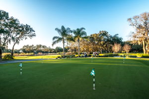 Timber Greens24