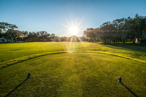 Timber Greens26