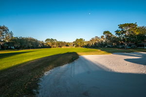 Timber Greens23