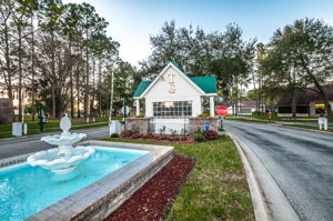 Timber Greens27