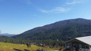  Photo 0